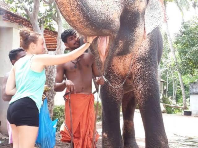 Mohans Ayurvedic Beach Resort Varkala Kültér fotó